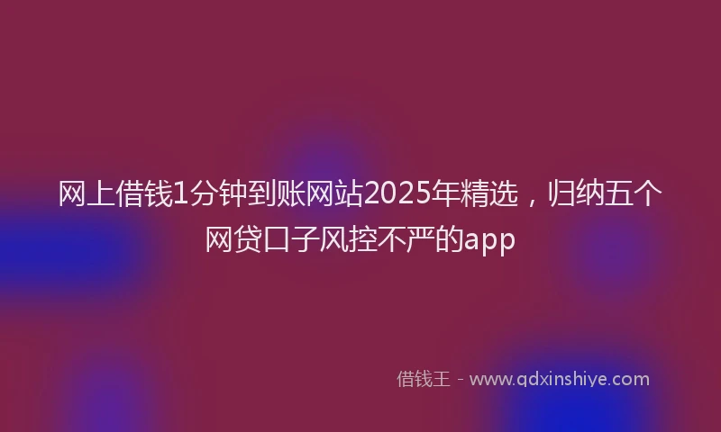 网上借钱1分钟到账网站2025年精选，归纳五个网贷口子风控不严的app