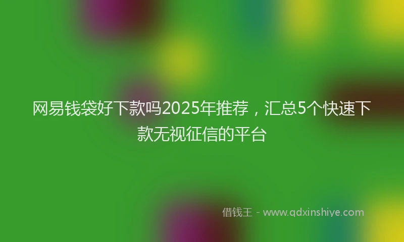 网易钱袋好下款吗2025年推荐，汇总5个快速下款无视征信的平台