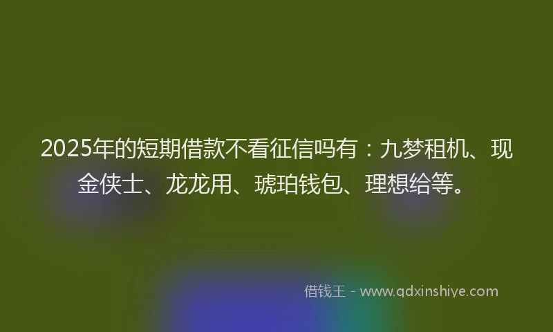 2025年的短期借款不看征信吗有：九梦租机、现金侠士、龙龙用、琥珀钱包、理想给等。