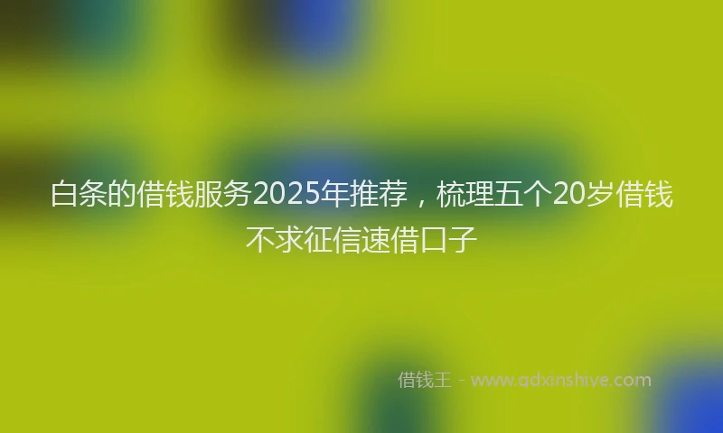 白条的借钱服务2025年推荐，梳理五个20岁借钱不求征信速借口子