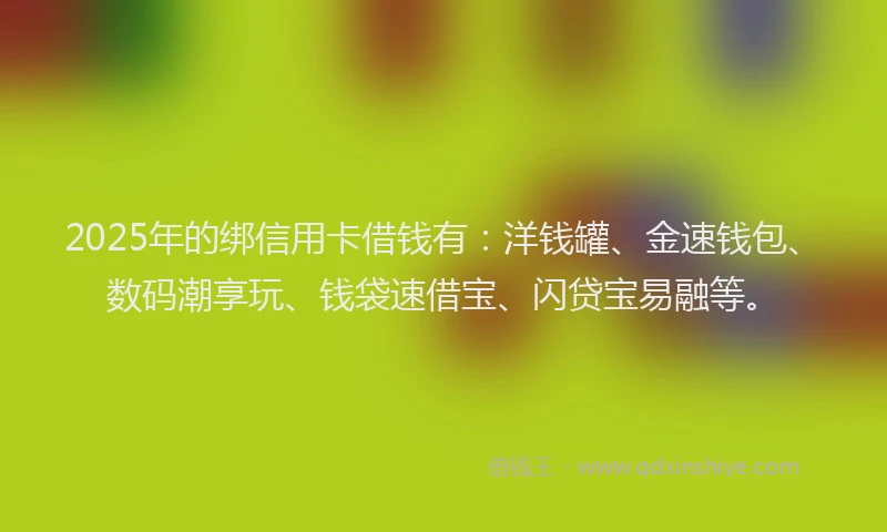 2025年的绑信用卡借钱有：洋钱罐、金速钱包、数码潮享玩、钱袋速借宝、闪贷宝易融等。
