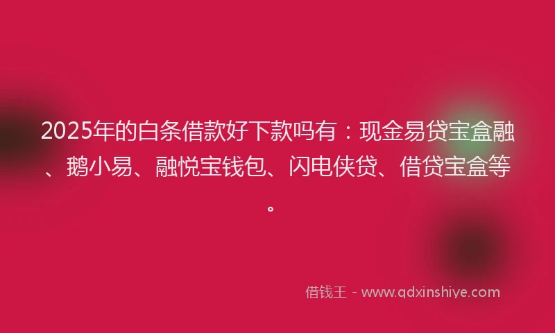 2025年的白条借款好下款吗有：现金易贷宝盒融、鹅小易、融悦宝钱包、闪电侠贷、借贷宝盒等。