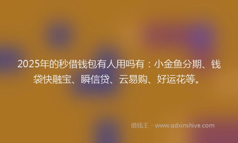 2025年的秒借钱包有人用吗有：小金鱼分期、钱袋快融宝、瞬信贷、云易购、好运花等。