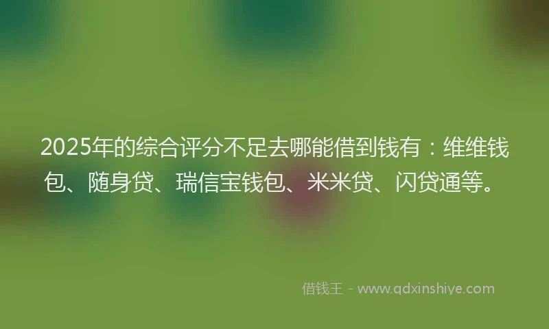 2025年的综合评分不足去哪能借到钱有：维维钱包、随身贷、瑞信宝钱包、米米贷、闪贷通等。