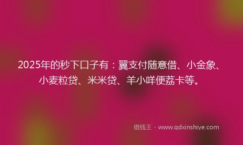 2025年的秒下口子有：翼支付随意借、小金象、小麦粒贷、米米贷、羊小咩便荔卡等。