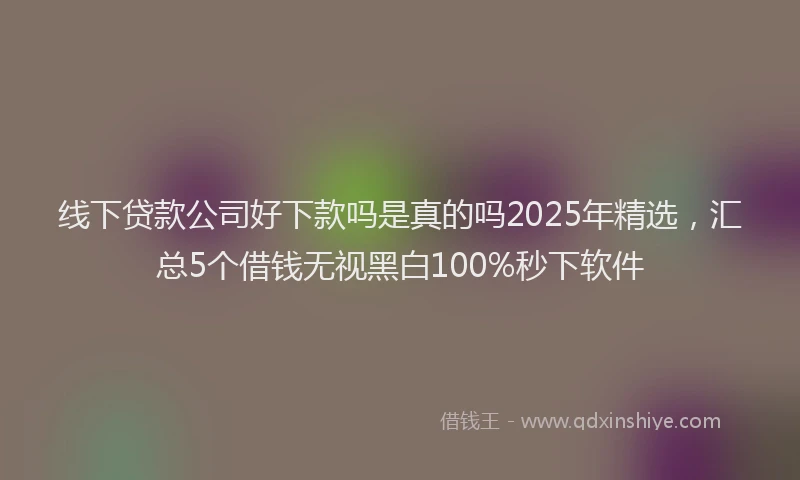 线下贷款公司好下款吗是真的吗2025年精选，汇总5个借钱无视黑白100%秒下软件
