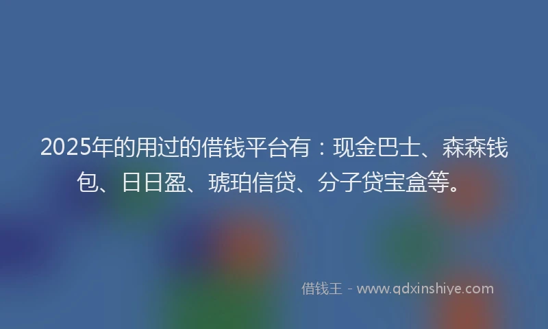 2025年的用过的借钱平台有：现金巴士、森森钱包、日日盈、琥珀信贷、分子贷宝盒等。