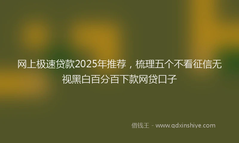网上极速贷款2025年推荐，梳理五个不看征信无视黑白百分百下款网贷口子