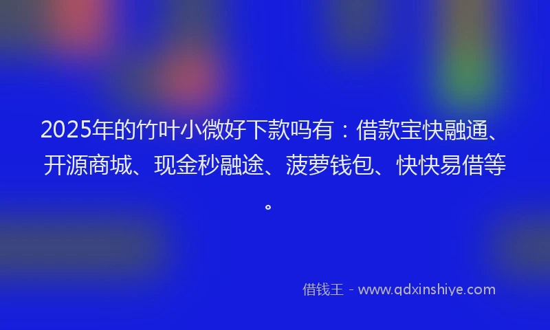 2025年的竹叶小微好下款吗有：借款宝快融通、开源商城、现金秒融途、菠萝钱包、快快易借等。