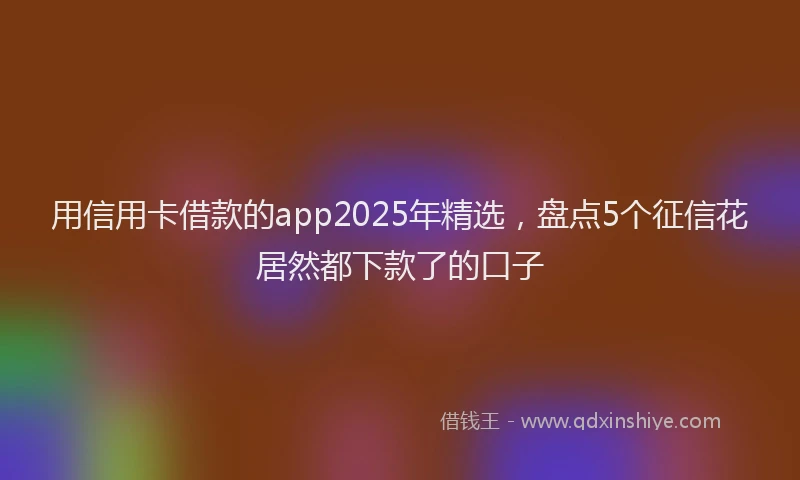 用信用卡借款的app2025年精选，盘点5个征信花居然都下款了的口子