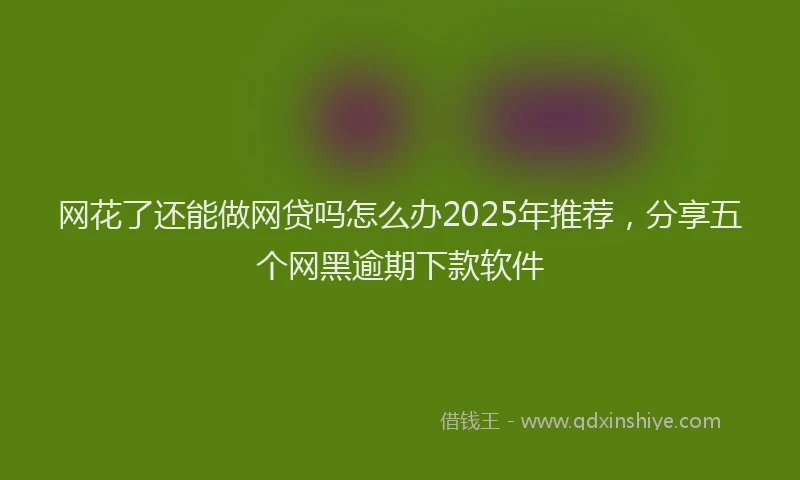 网花了还能做网贷吗怎么办2025年推荐，分享五个网黑逾期下款软件