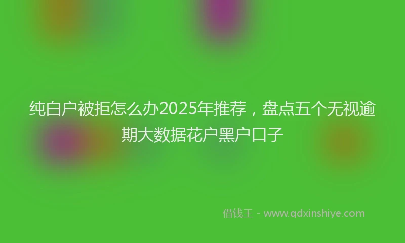 纯白户被拒怎么办2025年推荐，盘点五个无视逾期大数据花户黑户口子