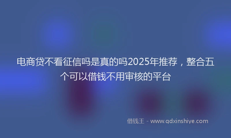 电商贷不看征信吗是真的吗2025年推荐，整合五个可以借钱不用审核的平台
