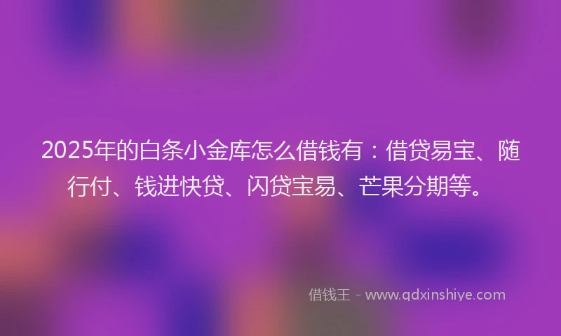 2025年的白条小金库怎么借钱有：借贷易宝、随行付、钱进快贷、闪贷宝易、芒果分期等。