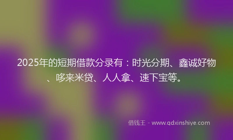 2025年的短期借款分录有：时光分期、鑫诚好物、哆来米贷、人人拿、速下宝等。