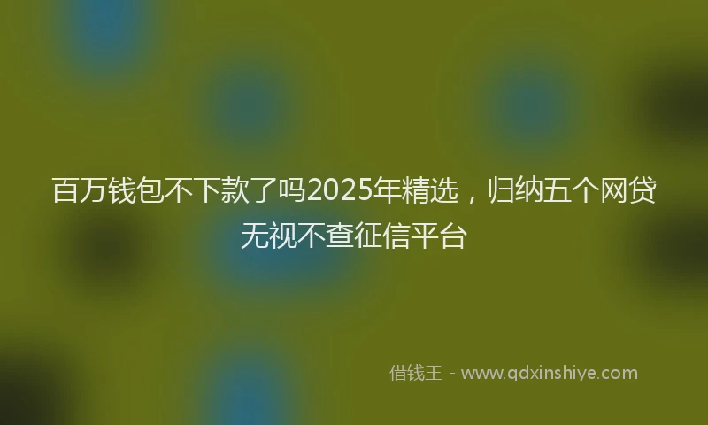 百万钱包不下款了吗2025年精选，归纳五个网贷无视不查征信平台