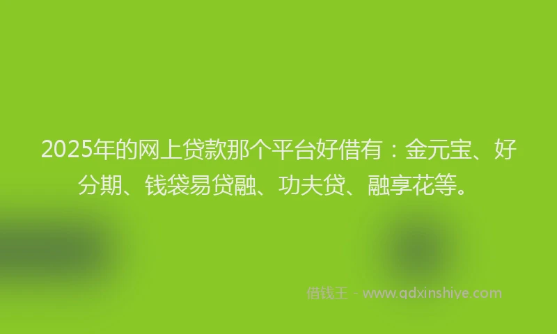 2025年的网上贷款那个平台好借有：金元宝、好分期、钱袋易贷融、功夫贷、融享花等。