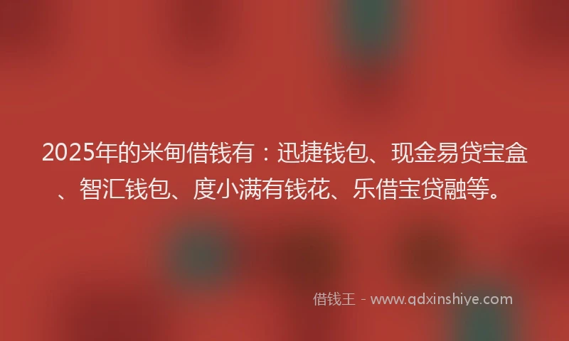 2025年的米甸借钱有：迅捷钱包、现金易贷宝盒、智汇钱包、度小满有钱花、乐借宝贷融等。