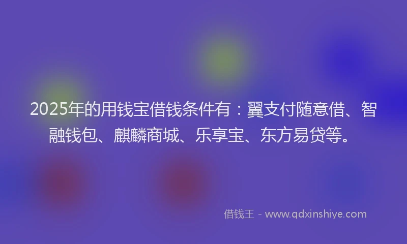 2025年的用钱宝借钱条件有：翼支付随意借、智融钱包、麒麟商城、乐享宝、东方易贷等。