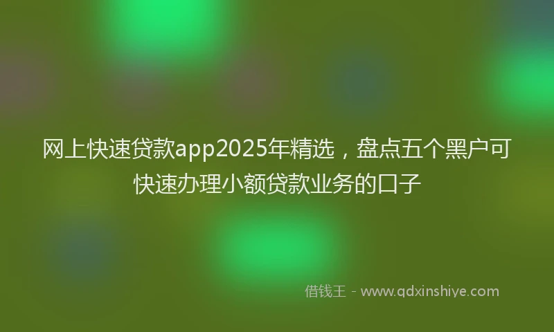 网上快速贷款app2025年精选，盘点五个黑户可快速办理小额贷款业务的口子