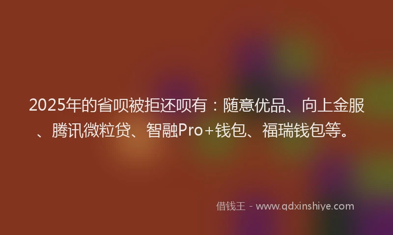 2025年的省呗被拒还呗有：随意优品、向上金服、腾讯微粒贷、智融Pro+钱包、福瑞钱包等。