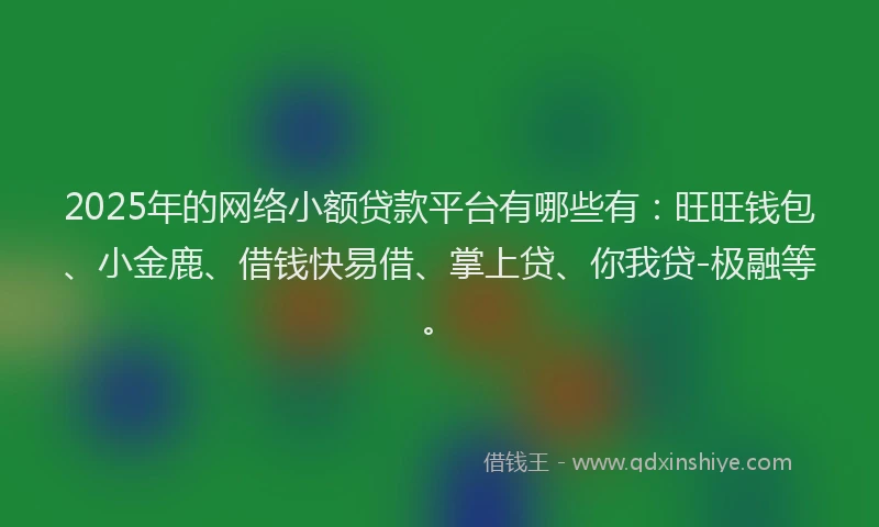 2025年的网络小额贷款平台有哪些有：旺旺钱包、小金鹿、借钱快易借、掌上贷、你我贷-极融等。