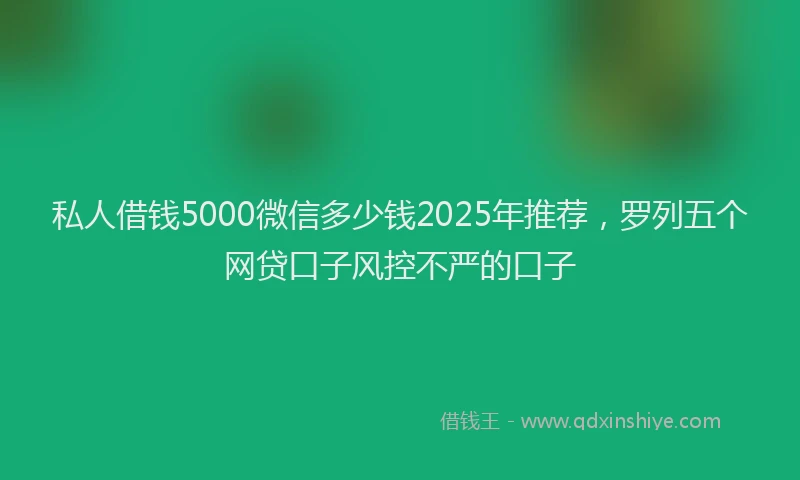 私人借钱5000微信多少钱2025年推荐，罗列五个网贷口子风控不严的口子
