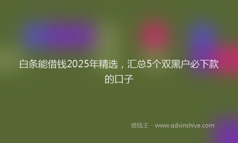 白条能借钱2025年精选，汇总5个双黑户必下款的口子