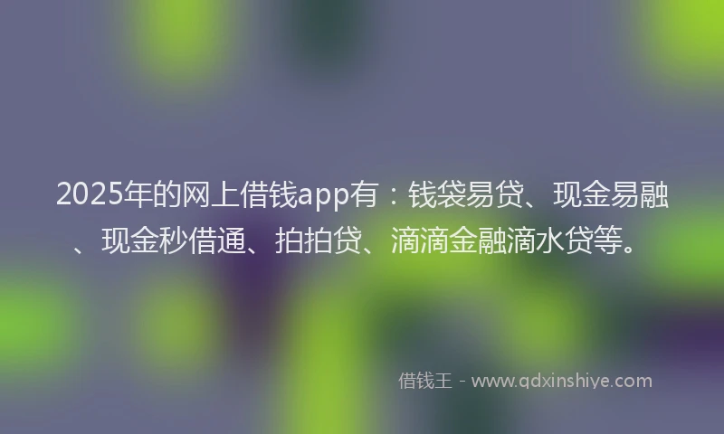 2025年的网上借钱app有：钱袋易贷、现金易融、现金秒借通、拍拍贷、滴滴金融滴水贷等。