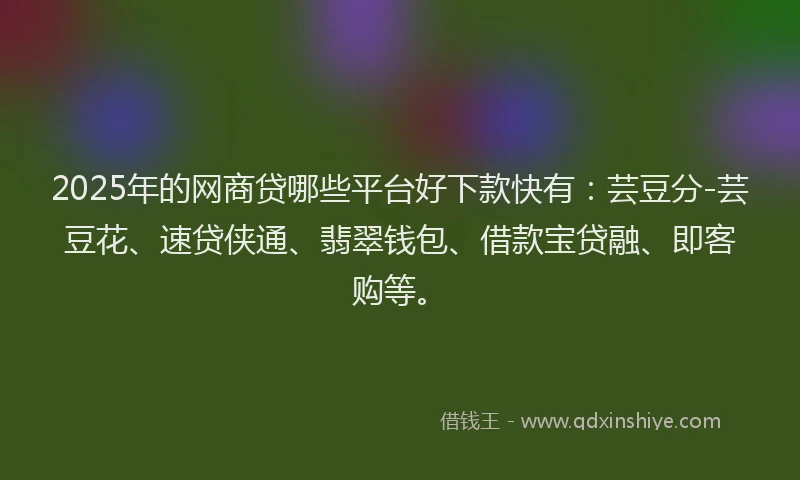 2025年的网商贷哪些平台好下款快有：芸豆分-芸豆花、速贷侠通、翡翠钱包、借款宝贷融、即客购等。