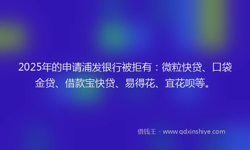 2025年的申请浦发银行被拒有：微粒快贷、口袋金贷、借款宝快贷、易得花、宜花呗等。