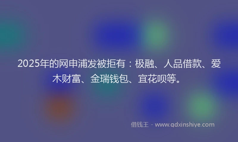2025年的网申浦发被拒有：极融、人品借款、爱木财富、金瑞钱包、宜花呗等。
