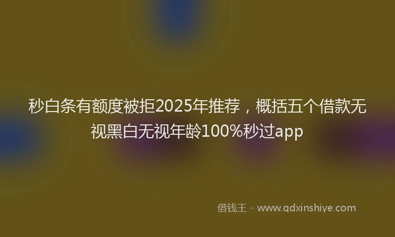 秒白条有额度被拒2025年推荐，概括五个借款无视黑白无视年龄100%秒过app
