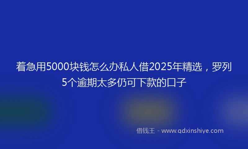 着急用5000块钱怎么办私人借2025年精选，罗列5个逾期太多仍可下款的口子