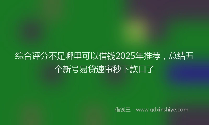 综合评分不足哪里可以借钱2025年推荐，总结五个新号易贷速审秒下款口子
