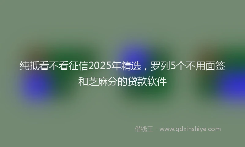 纯抵看不看征信2025年精选，罗列5个不用面签和芝麻分的贷款软件