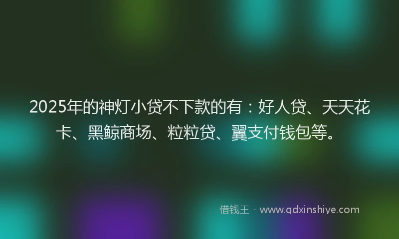 2025年的神灯小贷不下款的有：好人贷、天天花卡、黑鲸商场、粒粒贷、翼支付钱包等。