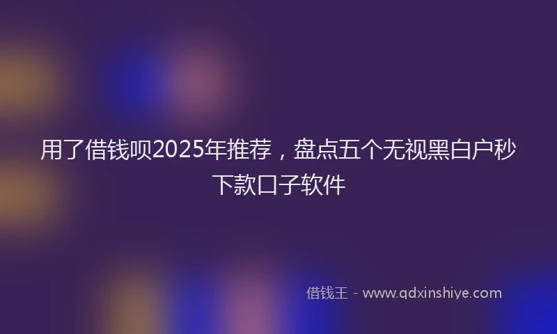 用了借钱呗2025年推荐，盘点五个无视黑白户秒下款口子软件