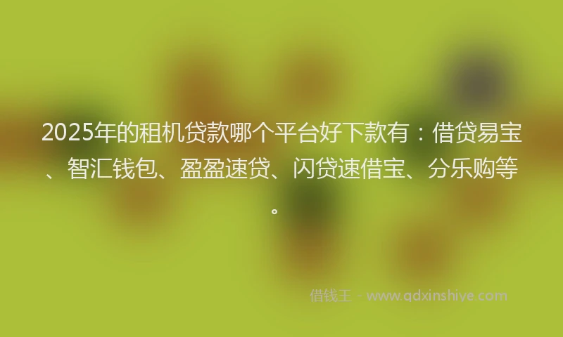 2025年的租机贷款哪个平台好下款有：借贷易宝、智汇钱包、盈盈速贷、闪贷速借宝、分乐购等。