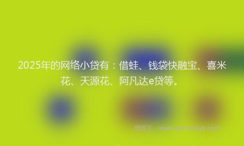 2025年的网络小贷有：借蛙、钱袋快融宝、喜米花、天源花、阿凡达e贷等。