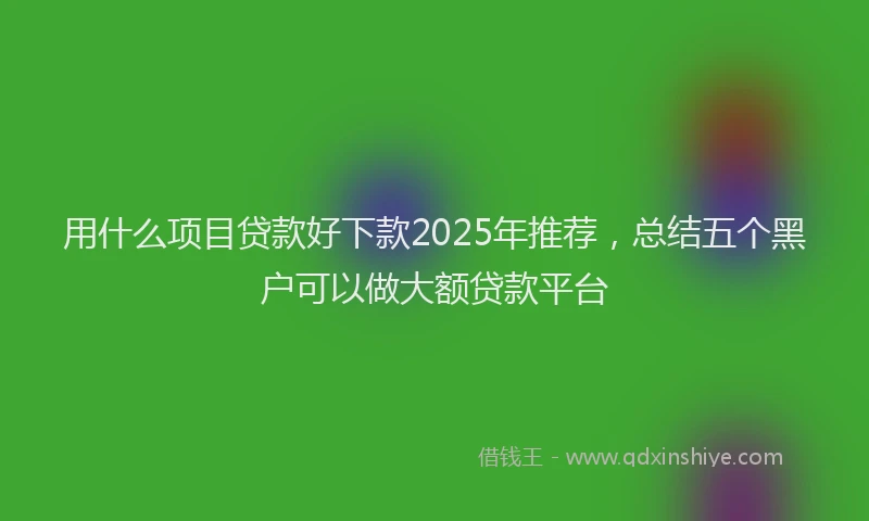 用什么项目贷款好下款2025年推荐，总结五个黑户可以做大额贷款平台