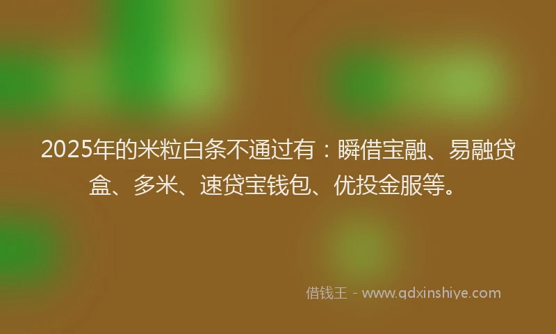2025年的米粒白条不通过有：瞬借宝融、易融贷盒、多米、速贷宝钱包、优投金服等。
