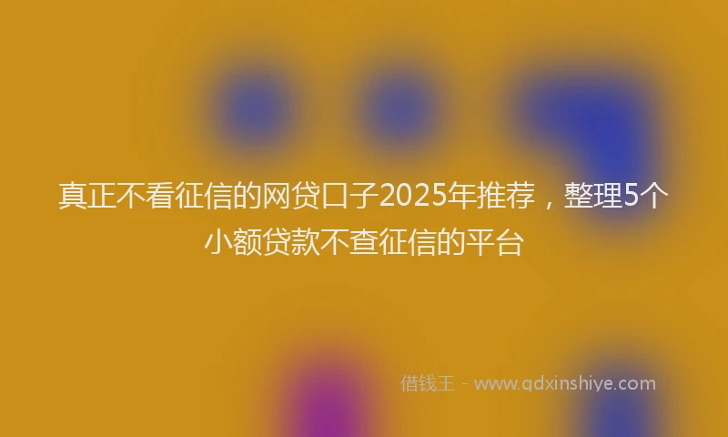 真正不看征信的网贷口子2025年推荐，整理5个小额贷款不查征信的平台