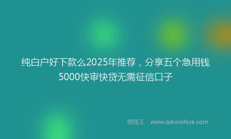 纯白户好下款么2025年推荐，分享五个急用钱5000快审快贷无需征信口子