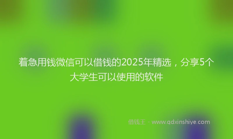 着急用钱微信可以借钱的2025年精选，分享5个大学生可以使用的软件