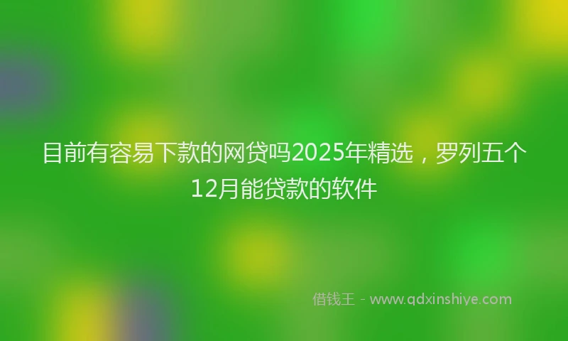 目前有容易下款的网贷吗2025年精选，罗列五个12月能贷款的软件