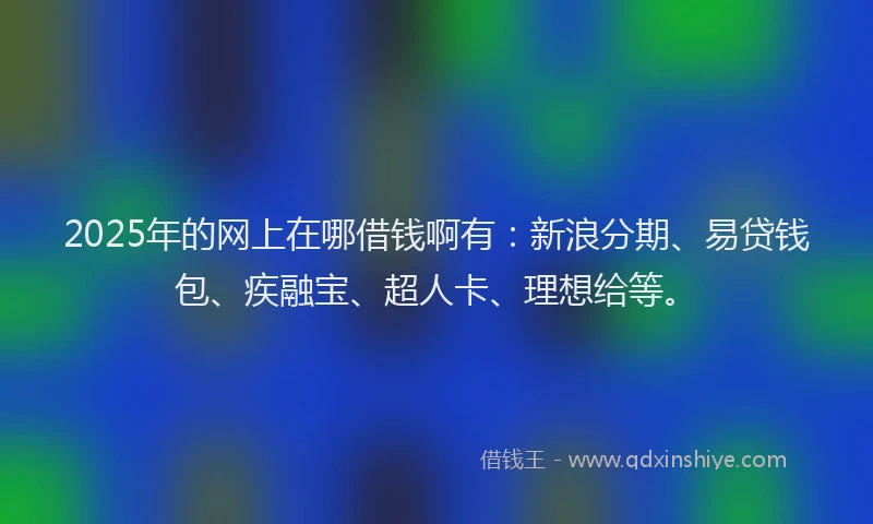 2025年的网上在哪借钱啊有：新浪分期、易贷钱包、疾融宝、超人卡、理想给等。