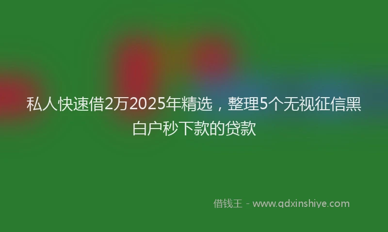 私人快速借2万2025年精选，整理5个无视征信黑白户秒下款的贷款