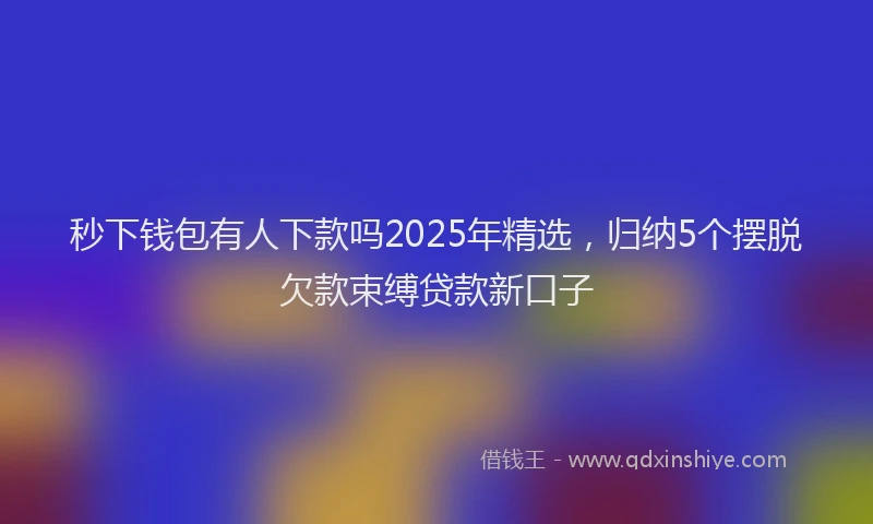 秒下钱包有人下款吗2025年精选，归纳5个摆脱欠款束缚贷款新口子