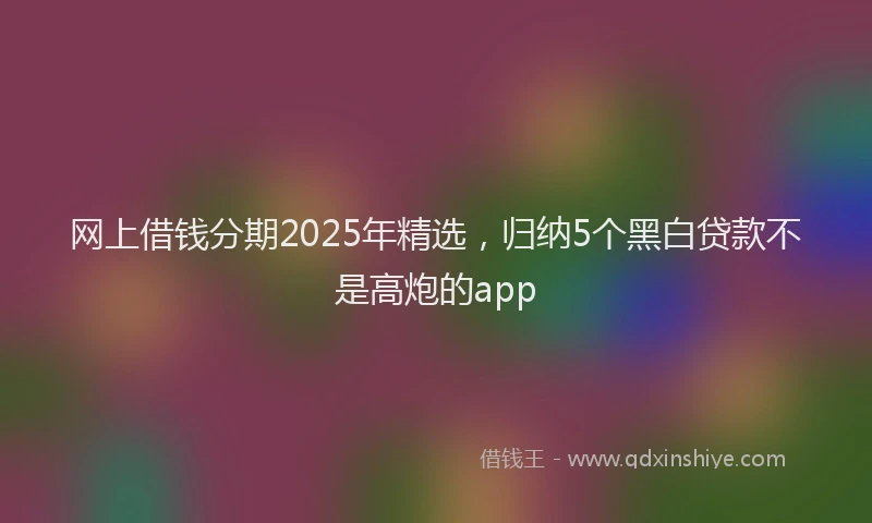 网上借钱分期2025年精选，归纳5个黑白贷款不是高炮的app